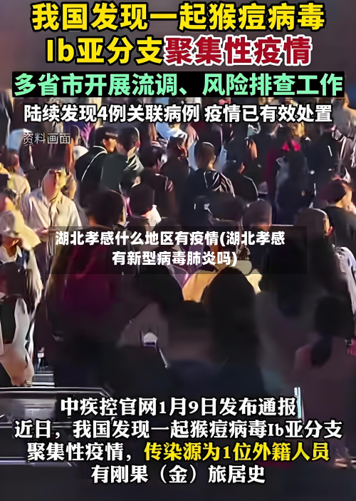 湖北孝感什么地区有疫情(湖北孝感有新型病毒肺炎吗)-第2张图片