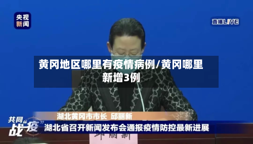黄冈地区哪里有疫情病例/黄冈哪里新增3例