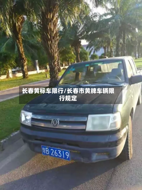 长春黄标车限行/长春市黄牌车辆限行规定