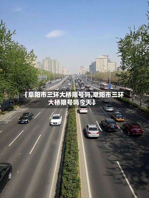 【阜阳市三环大桥限号吗,阜阳市三环大桥限号吗今天】