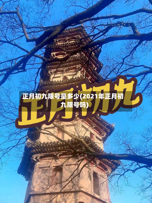 正月初九限号是多少(2021年正月初九限号吗)