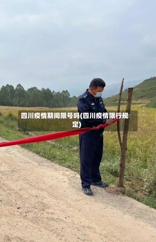 四川疫情期间限号吗(四川疫情限行规定)-第2张图片