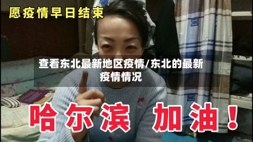 查看东北最新地区疫情/东北的最新疫情情况-第3张图片
