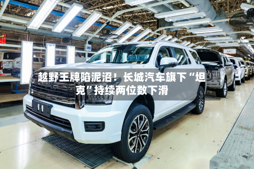 越野王牌陷泥沼！长城汽车旗下“坦克	”持续两位数下滑-第1张图片