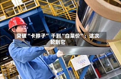 突破“卡脖子” 干到“白菜价”：这次轮到它