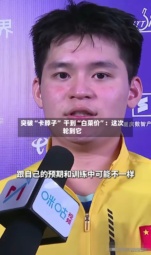 突破“卡脖子” 干到“白菜价	”：这次轮到它-第2张图片