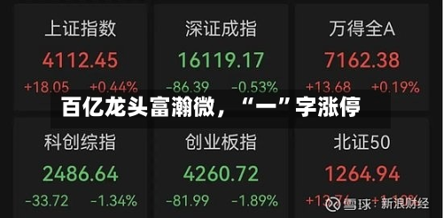 百亿龙头富瀚微，“一	”字涨停-第3张图片