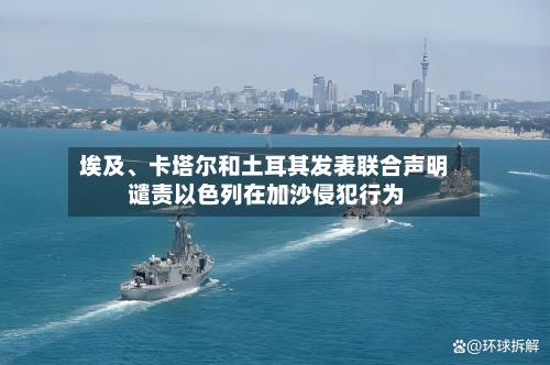 埃及	、卡塔尔和土耳其发表联合声明 谴责以色列在加沙侵犯行为-第3张图片