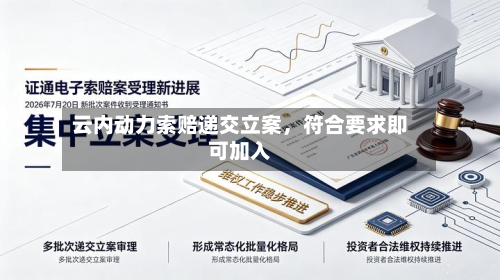 云内动力索赔递交立案	，符合要求即可加入-第3张图片