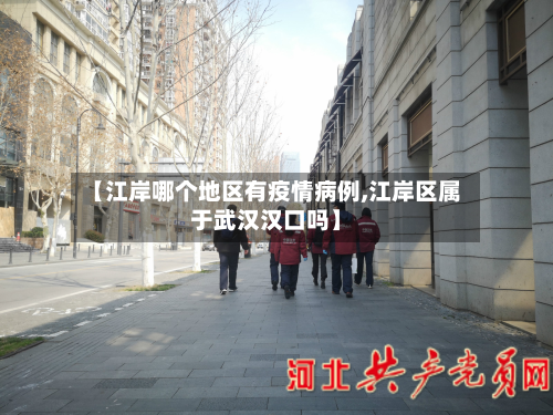 【江岸哪个地区有疫情病例,江岸区属于武汉汉口吗】-第2张图片