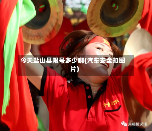 今天盐山县限号多少啊(汽车安全扣图片)-第2张图片