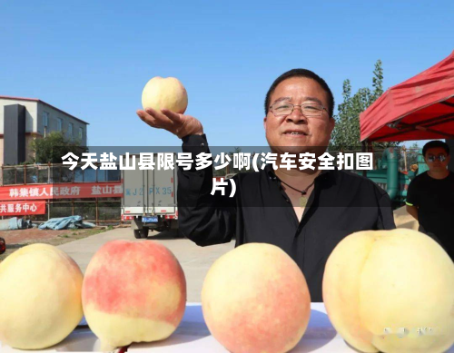 今天盐山县限号多少啊(汽车安全扣图片)