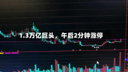 1.3万亿巨头	，午后2分钟涨停-第3张图片