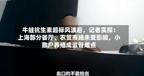 牛蛙抗生素超标风波后，记者实探：上海部分餐厅、农贸市场未受影响，小散户养殖成监管难点-第2张图片