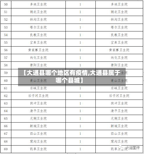 【大通县哪个地区有疫情,大通县属于哪个县城】-第2张图片