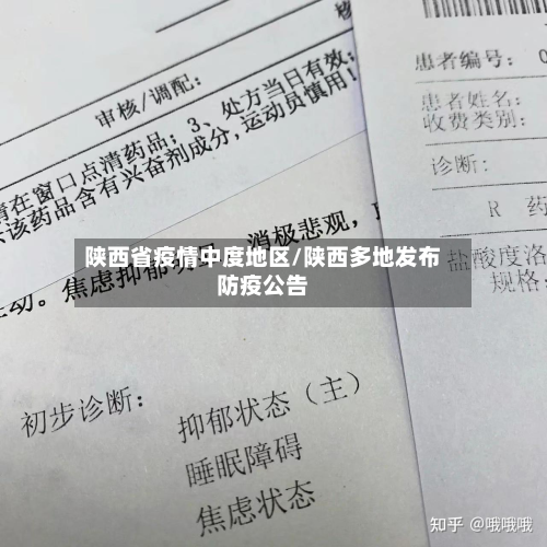 陕西省疫情中度地区/陕西多地发布防疫公告-第2张图片