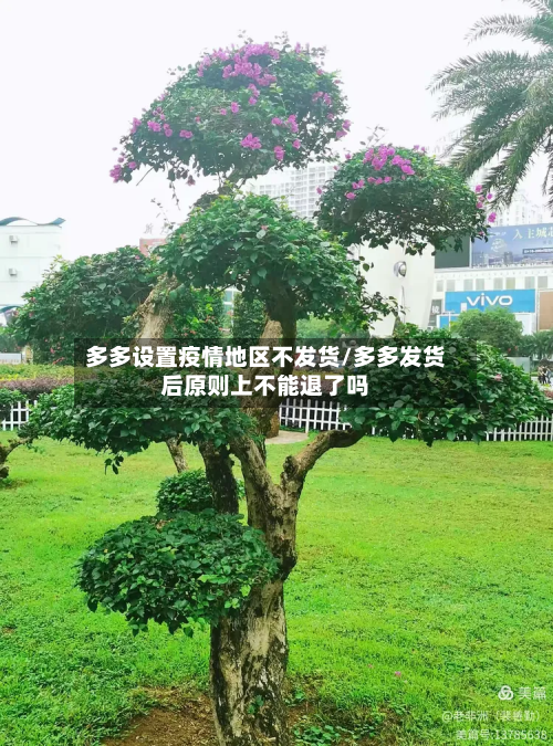 多多设置疫情地区不发货/多多发货后原则上不能退了吗