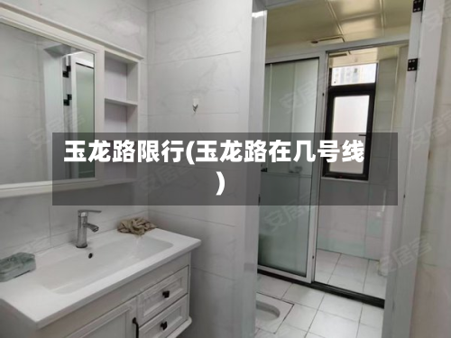 玉龙路限行(玉龙路在几号线)