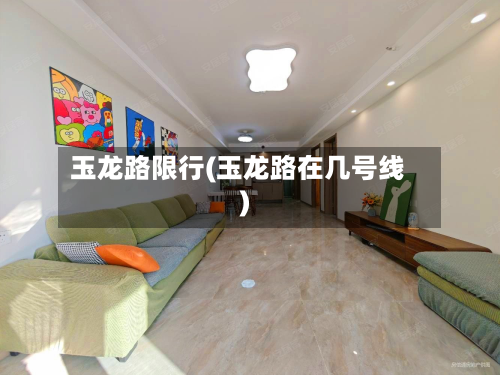 玉龙路限行(玉龙路在几号线)-第3张图片