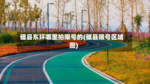 磁县东环哪里拍限号的(磁县限号区域图)