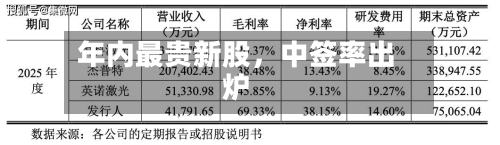 年内最贵新股，中签率出炉-第3张图片