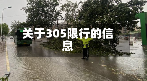 关于305限行的信息