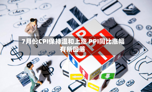 7月份CPI保持温和上涨 PPI同比涨幅有所回落-第1张图片