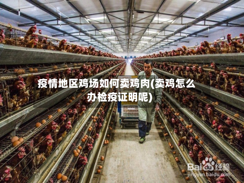 疫情地区鸡场如何卖鸡肉(卖鸡怎么办检疫证明呢)