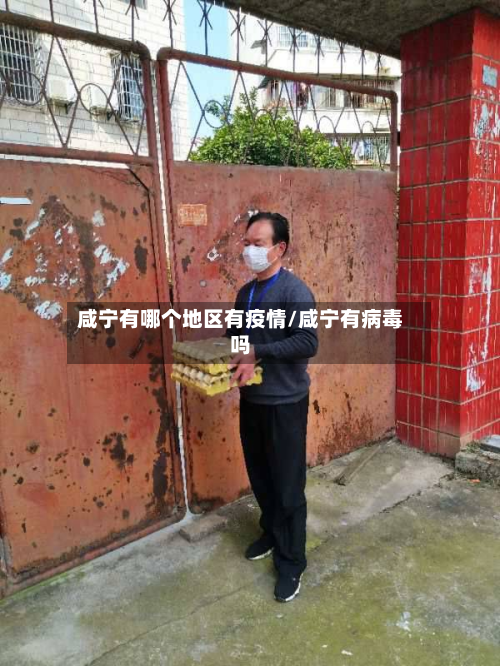 咸宁有哪个地区有疫情/咸宁有病毒吗