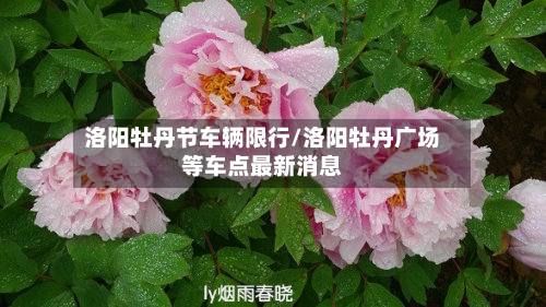 洛阳牡丹节车辆限行/洛阳牡丹广场等车点最新消息-第3张图片