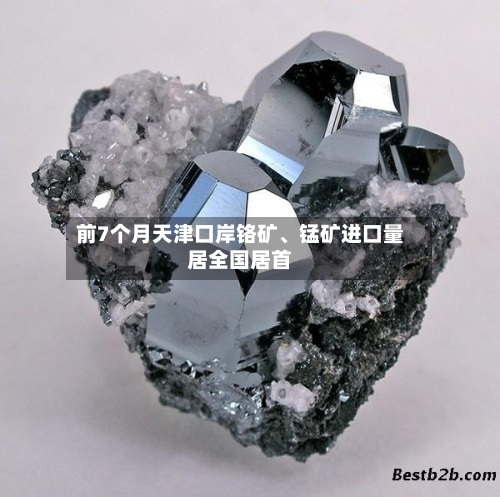 前7个月天津口岸铬矿	、锰矿进口量居全国居首-第2张图片