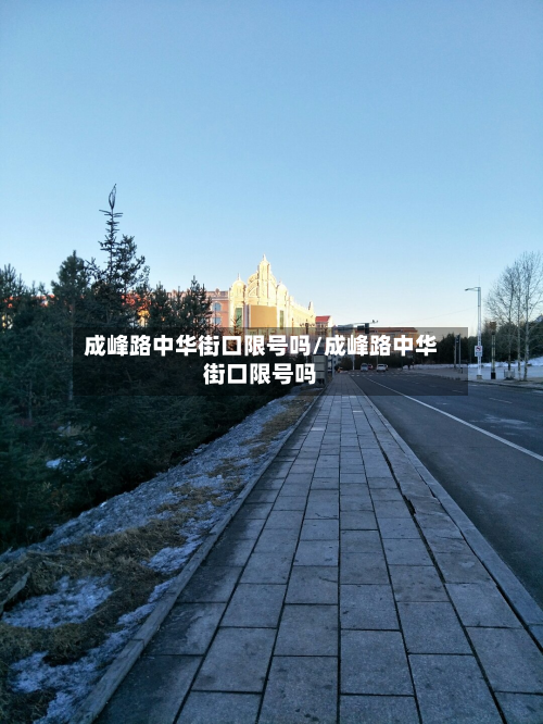 成峰路中华街口限号吗/成峰路中华街口限号吗