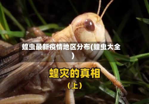 蝗虫最新疫情地区分布(蝗虫大全)