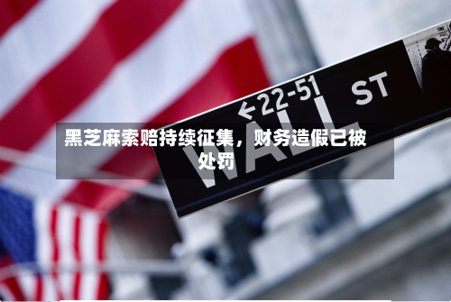 黑芝麻索赔持续征集，财务造假已被处罚-第2张图片