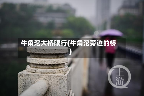 牛角沱大桥限行(牛角沱旁边的桥)