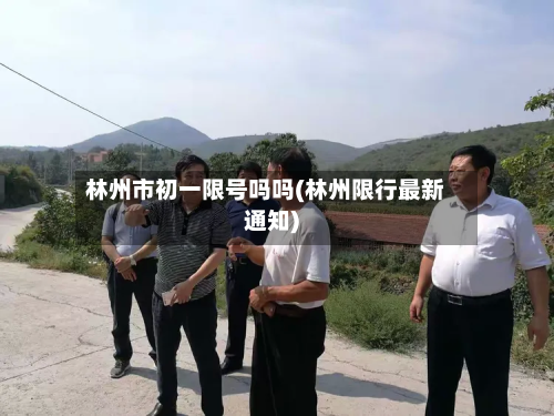 林州市初一限号吗吗(林州限行最新通知)-第2张图片