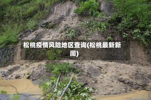 松桃疫情风险地区查询(松桃最新新闻)