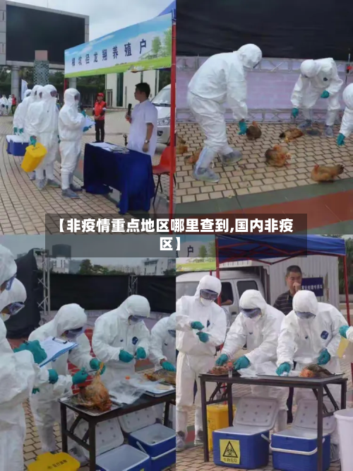 【非疫情重点地区哪里查到,国内非疫区】-第3张图片