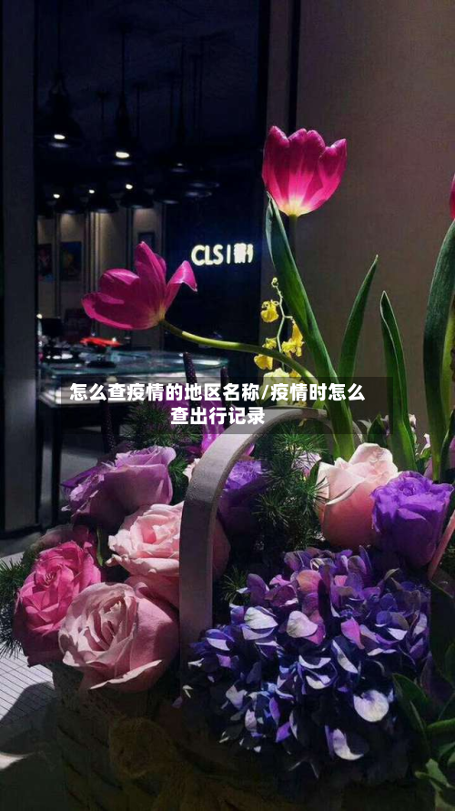 怎么查疫情的地区名称/疫情时怎么查出行记录
