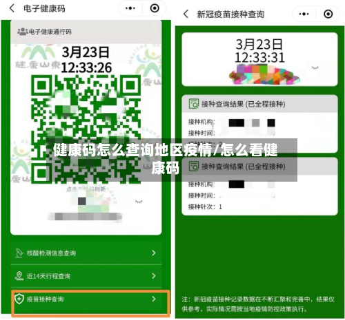 健康码怎么查询地区疫情/怎么看健康码-第2张图片