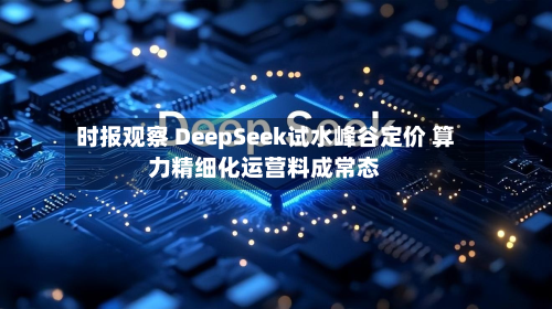 时报观察 DeepSeek试水峰谷定价 算力精细化运营料成常态