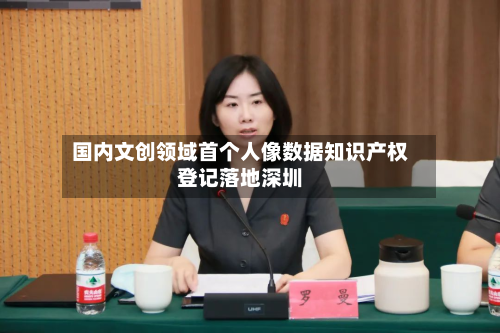 国内文创领域首个人像数据知识产权登记落地深圳
