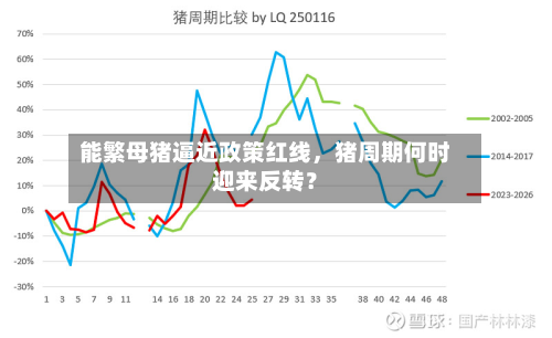 能繁母猪逼近政策红线，猪周期何时迎来反转？