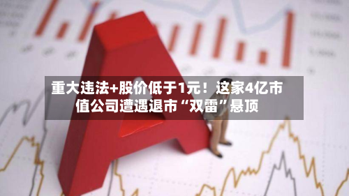 重大违法+股价低于1元！这家4亿市值公司遭遇退市“双雷”悬顶-第2张图片