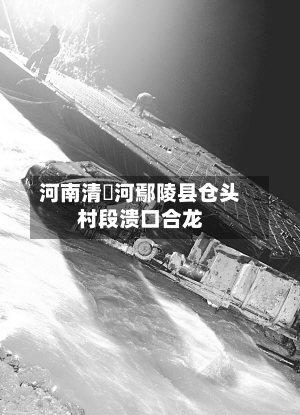 河南清潩河鄢陵县仓头村段溃口合龙-第3张图片