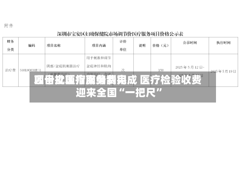 四十批医疗服务费用项目立项指南编制完成 医疗检验收费迎来全国“一把尺”