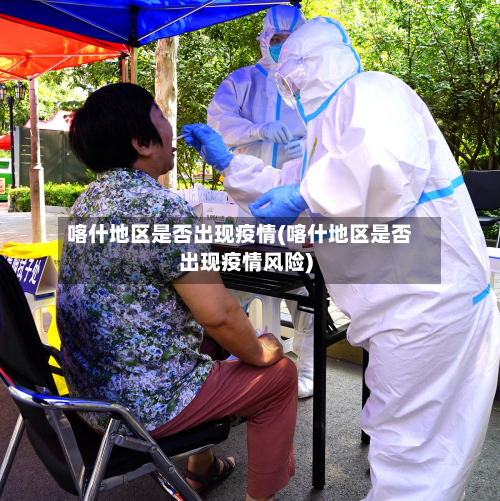 喀什地区是否出现疫情(喀什地区是否出现疫情风险)-第2张图片