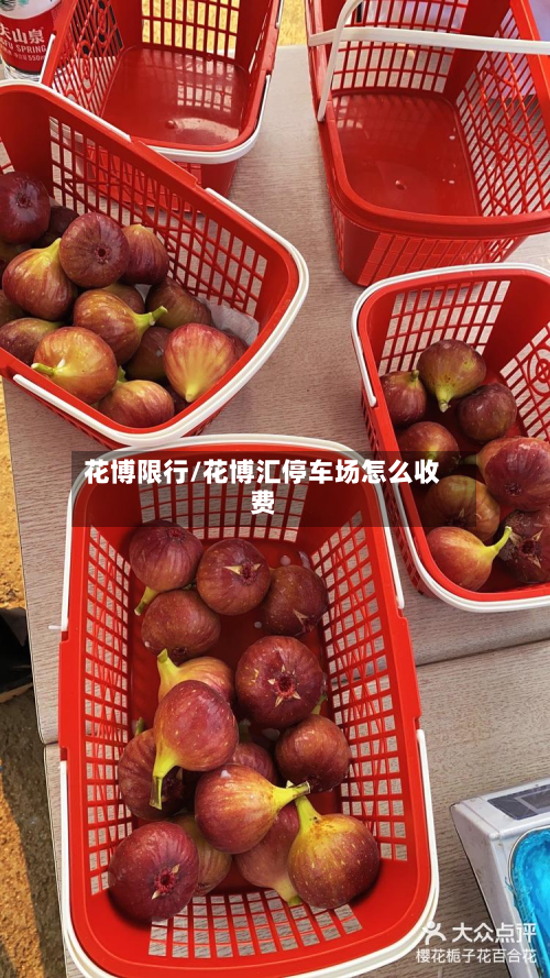 花博限行/花博汇停车场怎么收费-第2张图片