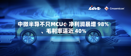 中微半导不只MCU：净利润暴增 98%、毛利率逼近 40%-第3张图片