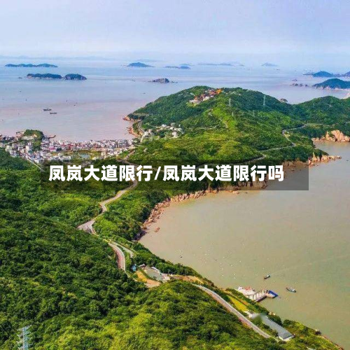 凤岚大道限行/凤岚大道限行吗